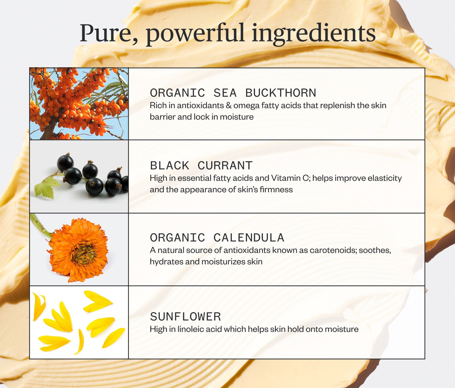 Golden Hour Recovery Cream