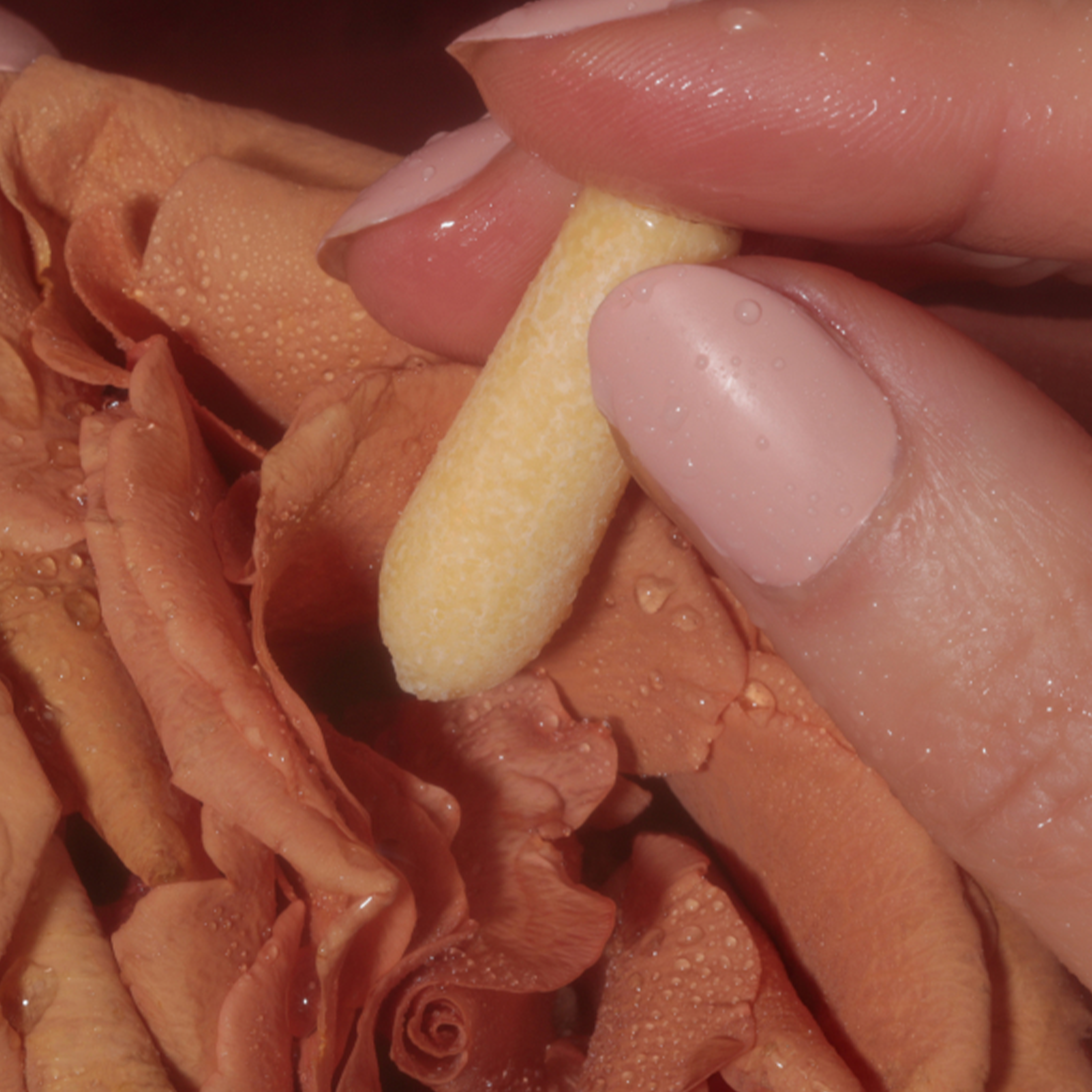 Intimacy Melts with CBD