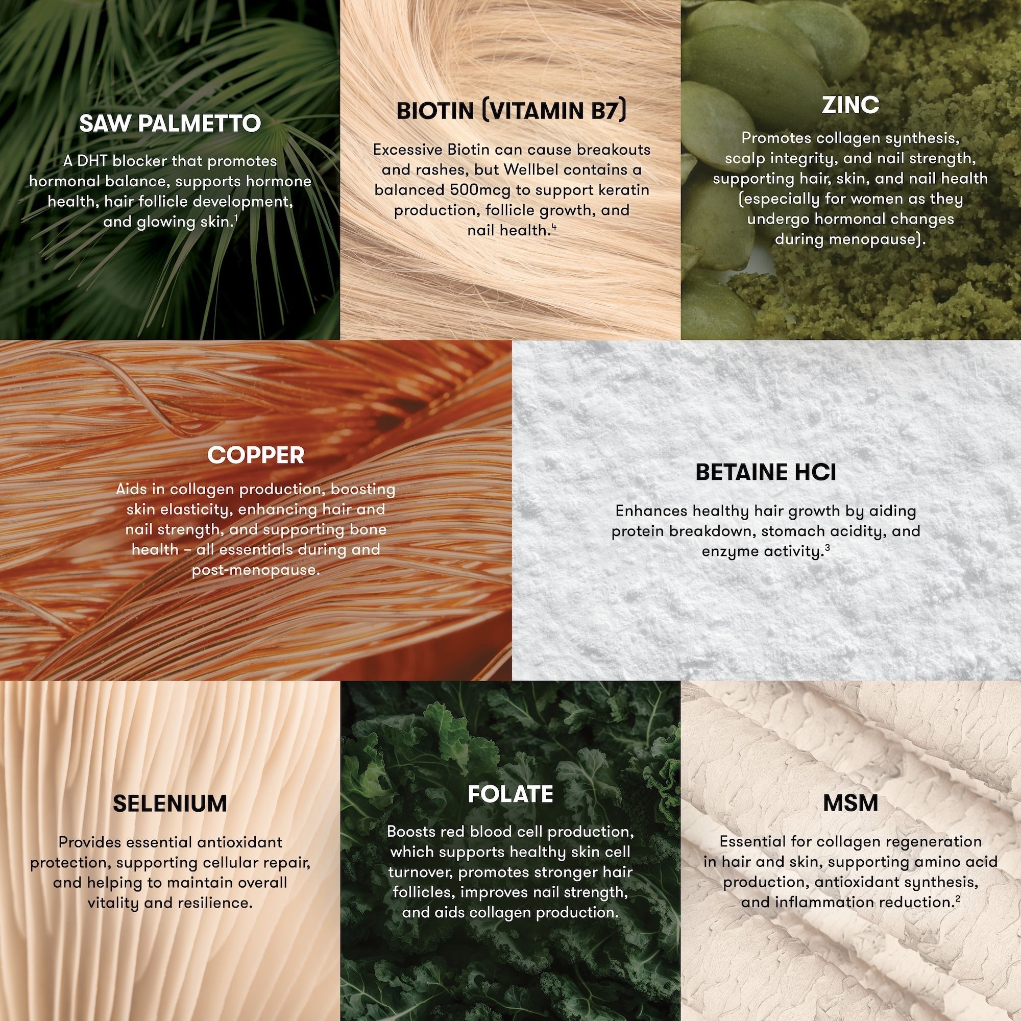 Wellbel Women+ Single Jar