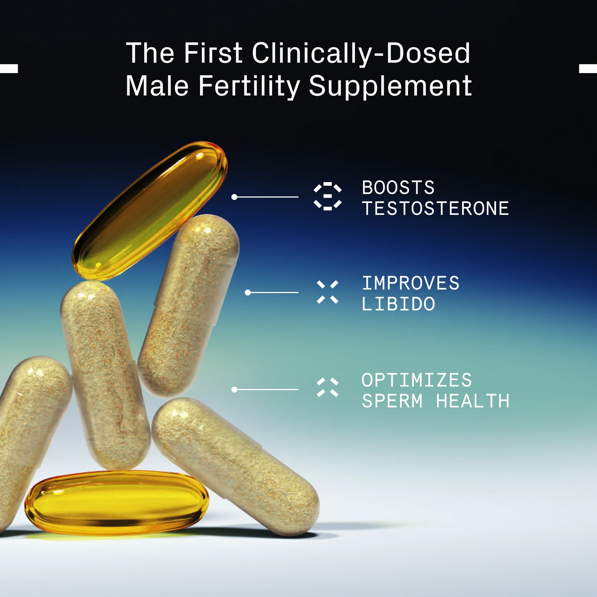 SwimClub Male Fertility + Performance Supplement